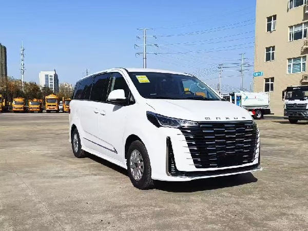 大通G10 自動擋檢測車（商務版）